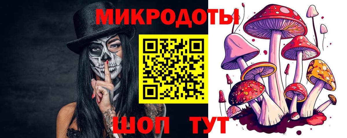Строитель  Галлюциногенные грибы мицелий  Вход с VPN  Псилоцибиновые грибы прущие грибы 