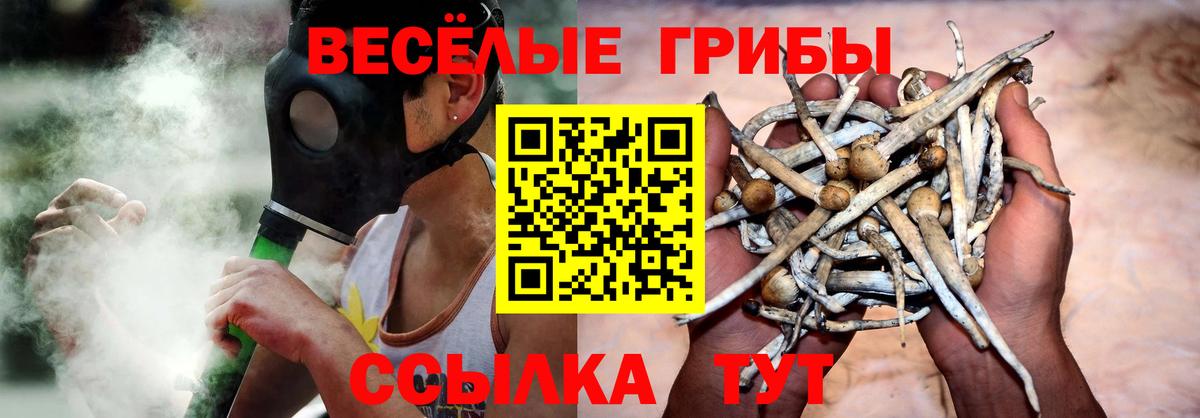 Псилоцибиновые грибы Psilocybe Строитель